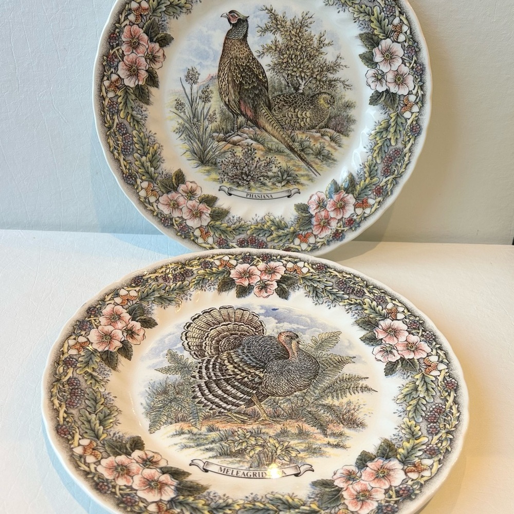 Pair of Churchill Myott Factory Transferware Plates-Turkey & Pheasant